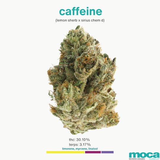 MOCA Humboldt - MOCA Flowers - 1/8th Jar - Caffeine - 1