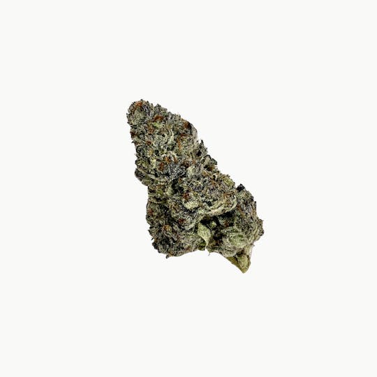 Indico - Grape Canyon Zkittlez - 1