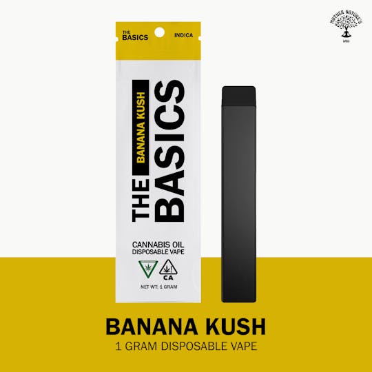 Nura - The Basics | Banana Kush | 1G Disposable - 1