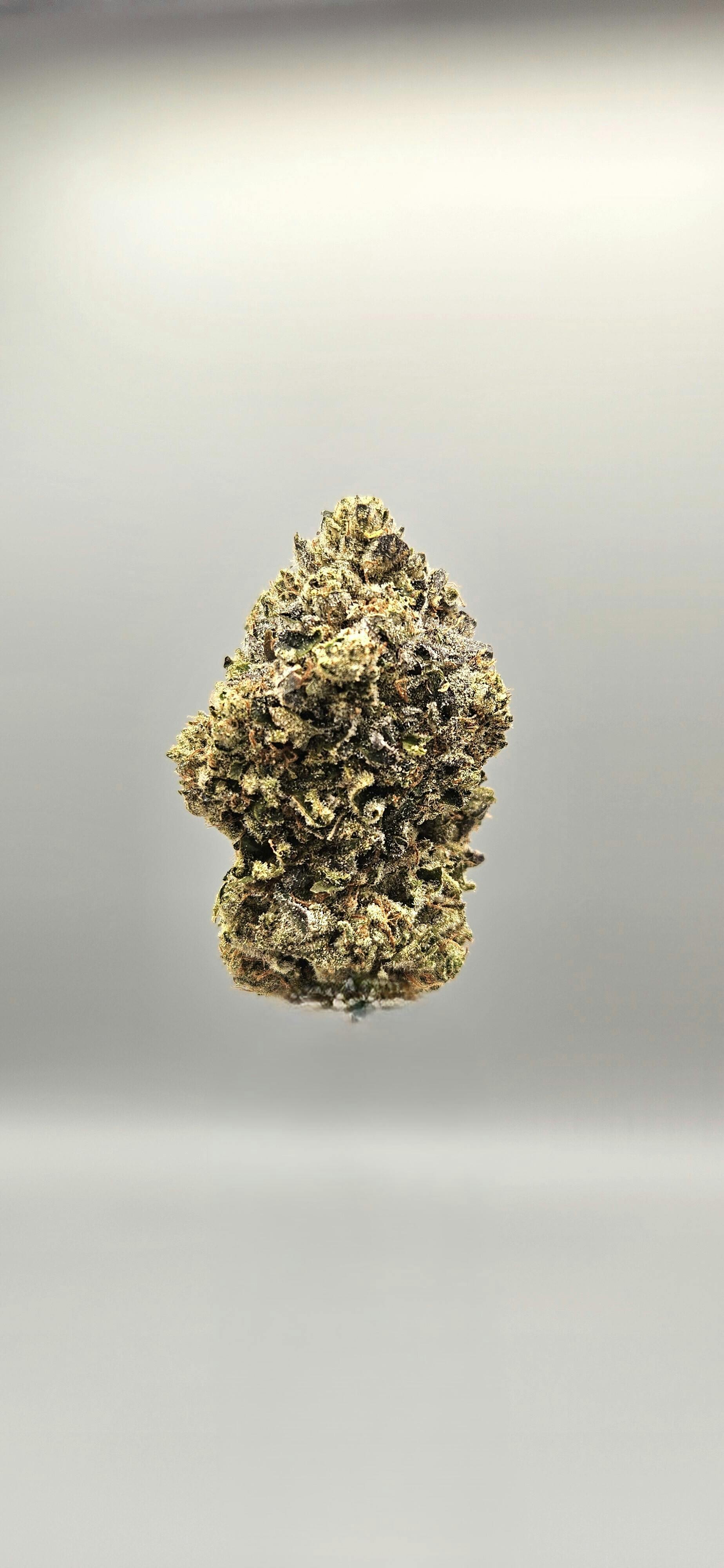 Ripple Wellness - Flower - Tier 3 - Dosilato - 1