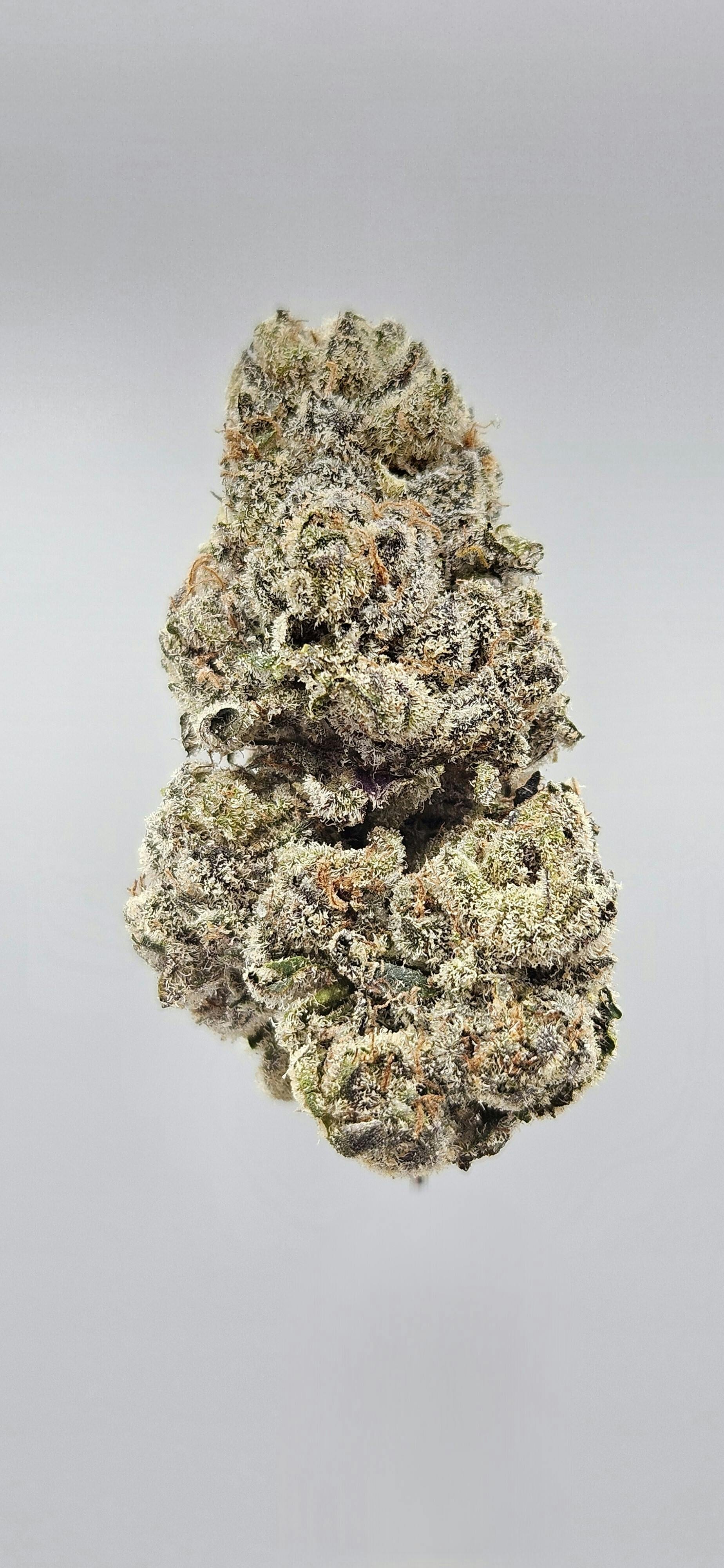 Ripple Wellness - Flower - Tier 1 - White Runtz - 1