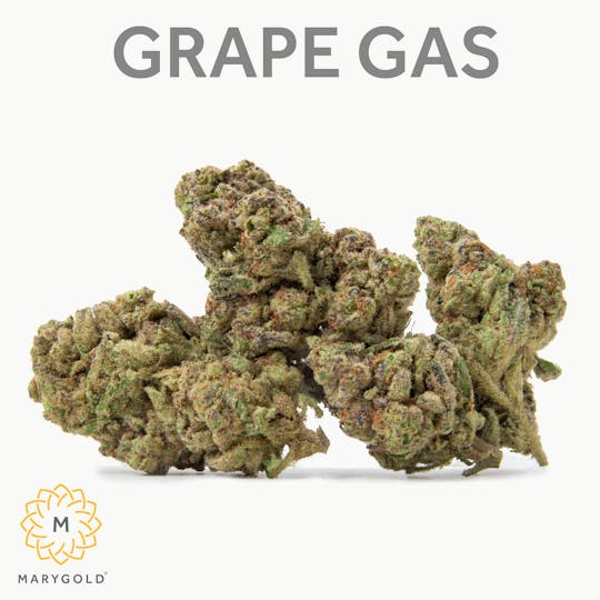 Marygold - Grape Gas 3.5g (28% THC Indica) - 1