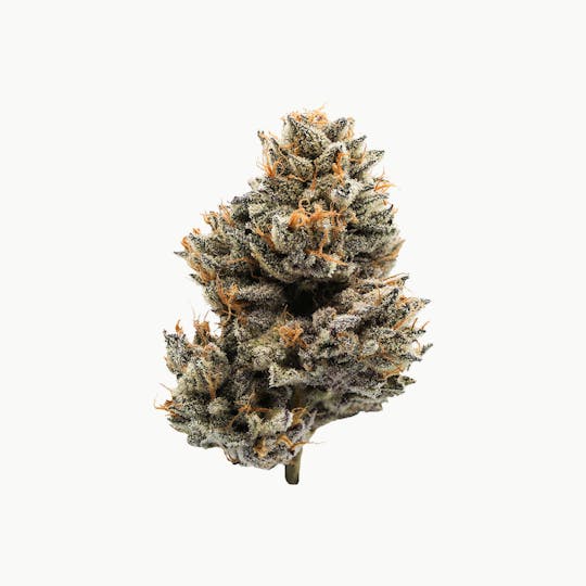 710 Labs - 710 Labs Sundae Driver Flower 14g - 1