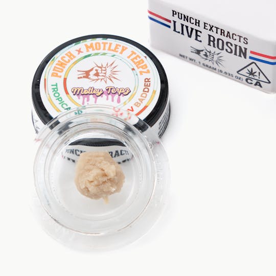 Punch Edibles & Extracts - Tropicanna Molotov Tier 4 Live Rosin Cold Cure Badder (1g) - 1