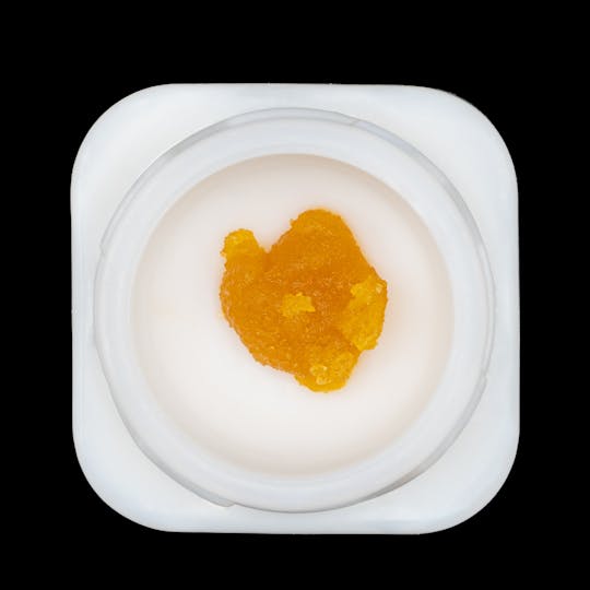 OLIO - 1g Live Resin - Wet Sugar - Forbidden Zkittles Tree - 1