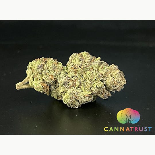 Trusty Transportations - Face Off OG 1/2 Ounce/14Grams(26%THC, Indica) - 1