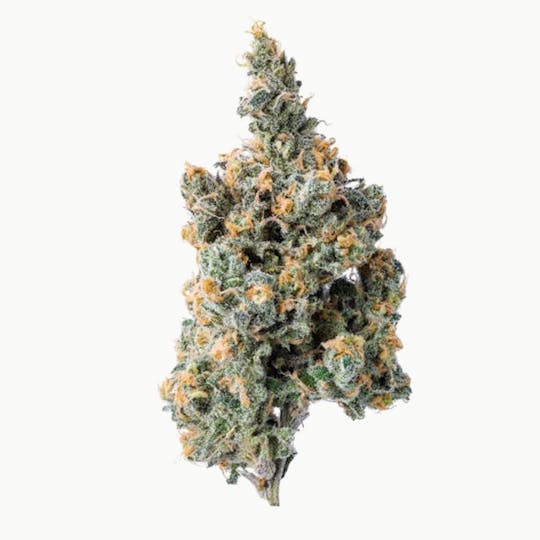 Purple Lotus - Blue Chip - Platinum Blue Dream 3.5g - 1
