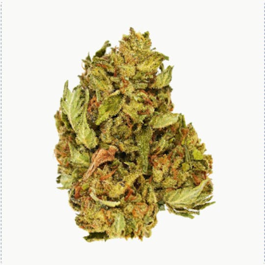 Smoakland - Exclusive - Tropical Skittles (H) - 28g - 1