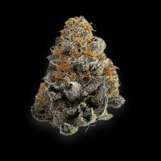 Auraz - Caleta Flower | Granola Funk - 1