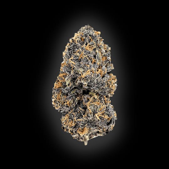 Auraz - Caleta Flower | Rainbow Sherbet - 1