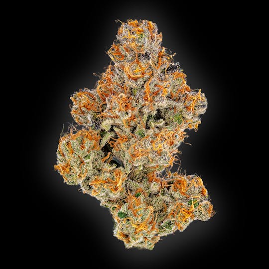 Auraz - Caleta Flower | Watermelon Kush - 1