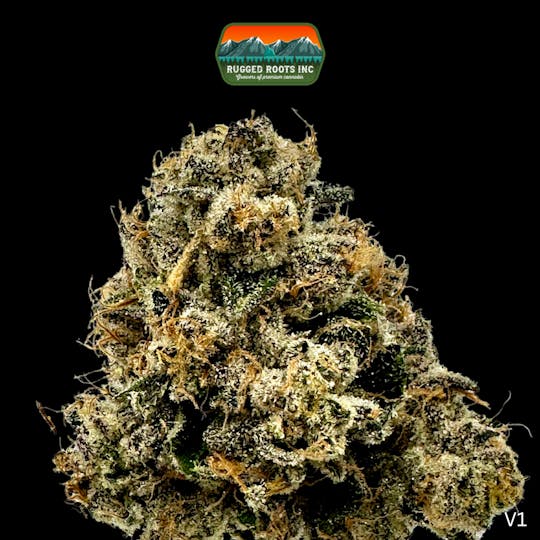 Rugged Roots - Rugged Roots | Invisible Ink 3.5g - 1