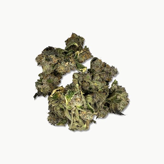Indico - Animalz (Smalls) $100oz - Indoor Plant Kingdom - 1