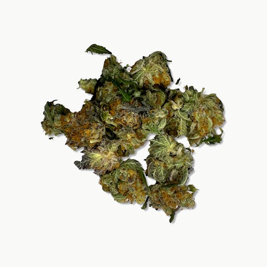 Indico - Sundae Driver (Smalls) $100oz - Indoor Plant Kingdom - 1