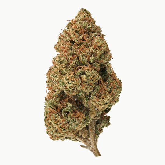 LA Native - Cherry Candy - INDOOR - 1