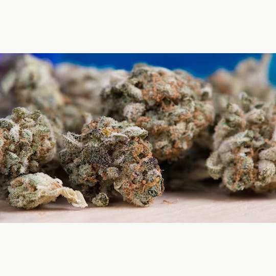 LA Native - Purple Gushers - INDOOR - 1