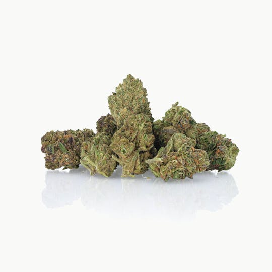 LA Native - Limoncello - INDOOR - 1