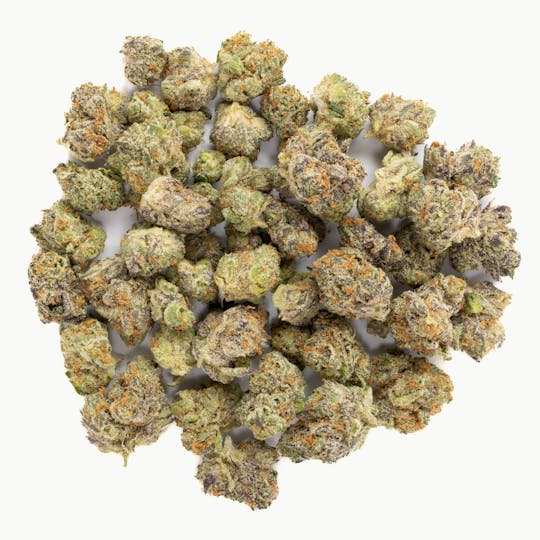 LA Native - Hella Jelly - INDOOR - 1