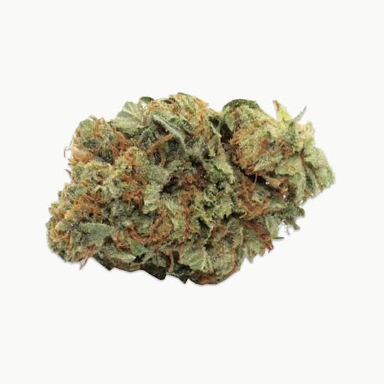 LA Native - Dosidos - Mixed Light - 1