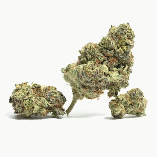 LA Native - Double Runtz - Mixed Light - 1