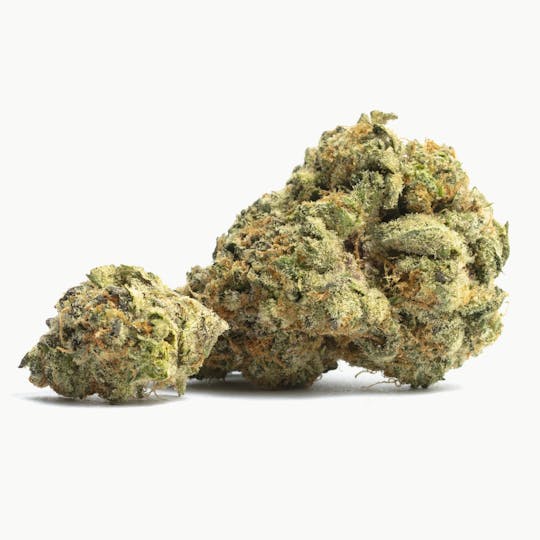 LA Native - Purple Cake - Mixed Light - 1