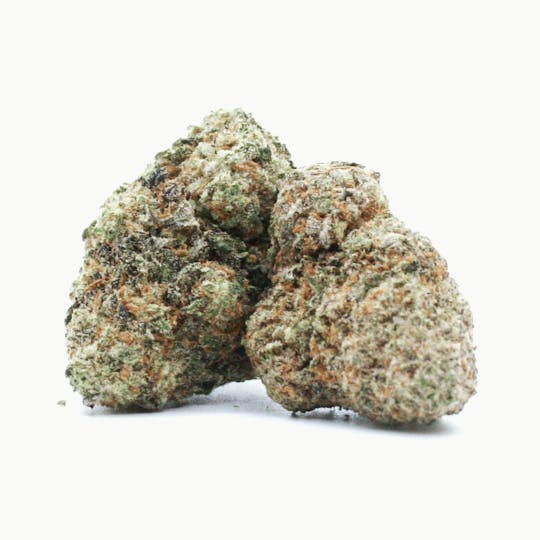 LA Native - Gelato - Mixed Light - 1