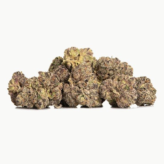 LA Native - Jealousy OG - Mixed Light - 1