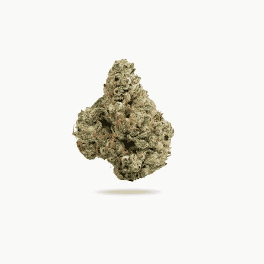 LA Native - Mint Candy - Mixed Light - 1