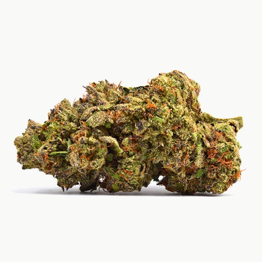 LA Native - Lemon Cherry Gelato - Sungrown - 1