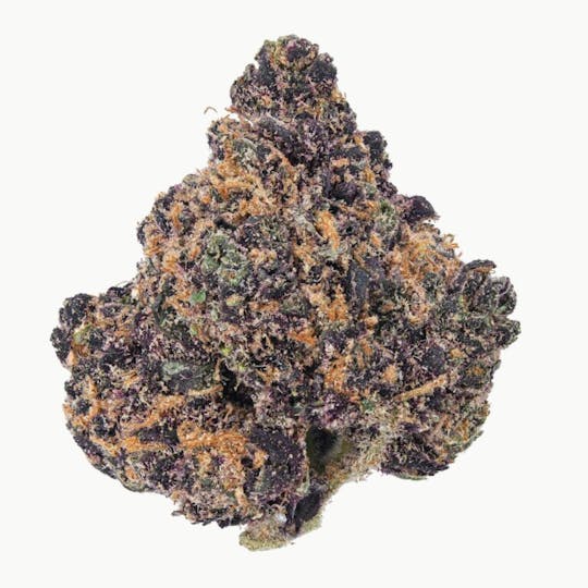 LA Native - Deep Purple - TOP SHELF INDOOR - 1
