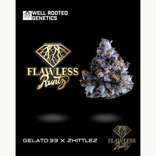 Well Rooted Genetics - Flawless Runtz - 1