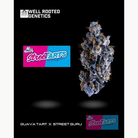 Well Rooted Genetics - Street Tartz - 1