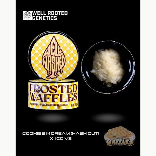 Well Rooted Genetics - Frosted Waffles - 1