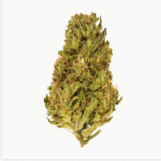 Smoakland - Exclusive - Sour Florida OG (H) - 28g - 1