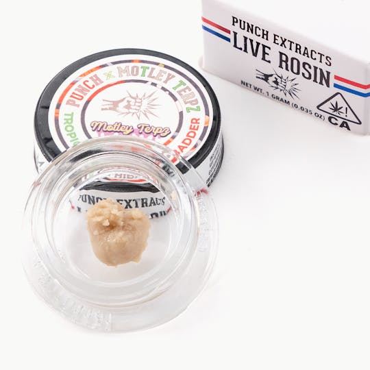 Punch Edibles & Extracts - Tropicana Hibachi Tier 4 Live Rosin Cold Cure Badder (1g) - 1