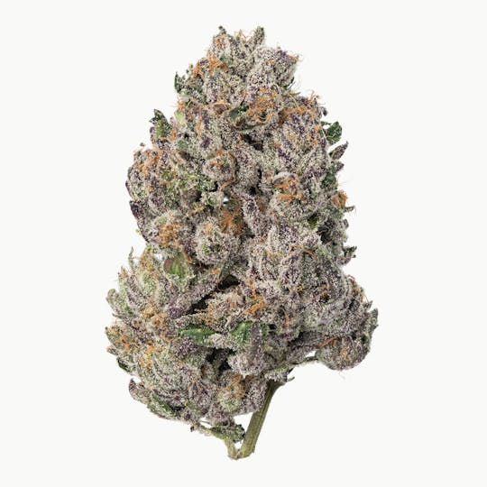 Fresh - Gelato Cake - 1