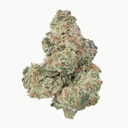 Fresh - Gelonade - 1