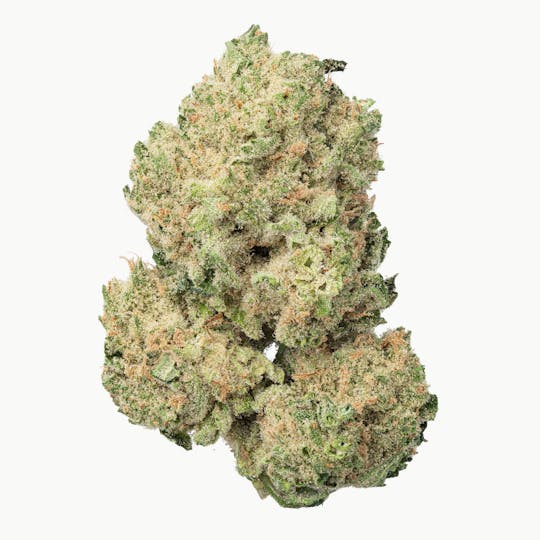 Fresh - Honey Badger Haze - 1