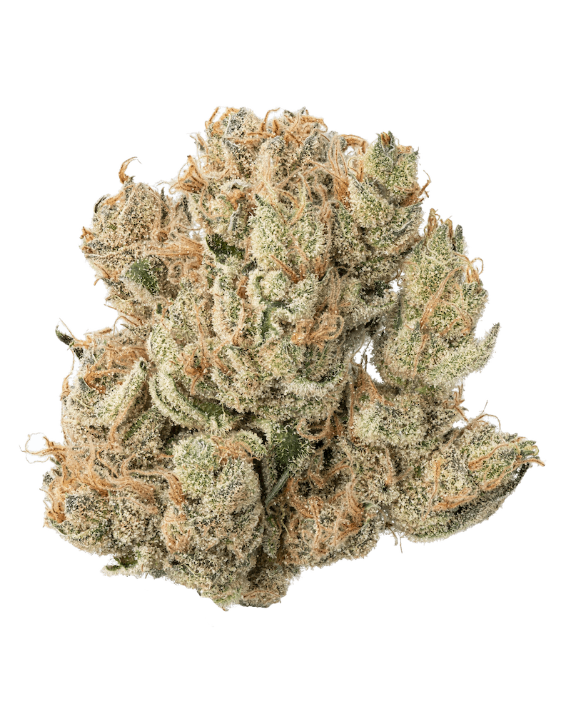 Fresh - Honey Banana - 1