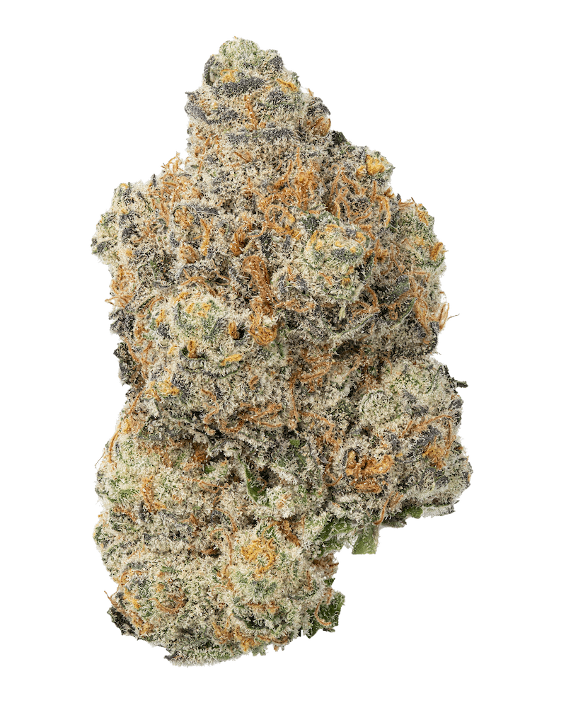 Fresh - Trop Banana - 1