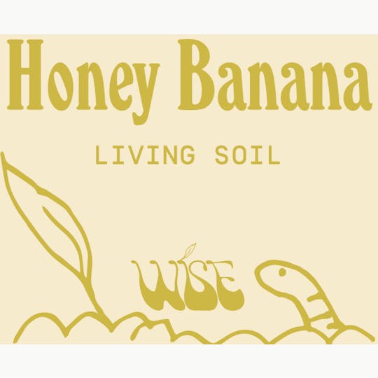Wise - Wise | Honey Banana | Live Hash Rosin | 1g - 1