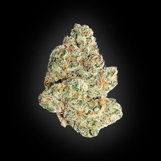 Auraz - Premium Flower | Kamikaze Candy - 1