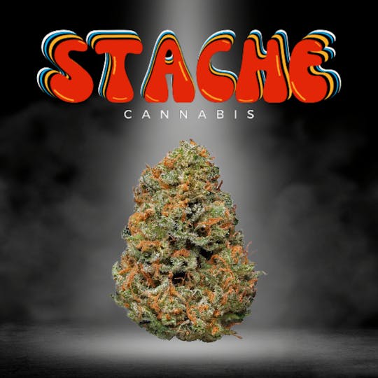 Stache - Fruit Basket - 10g (I/H) - 1