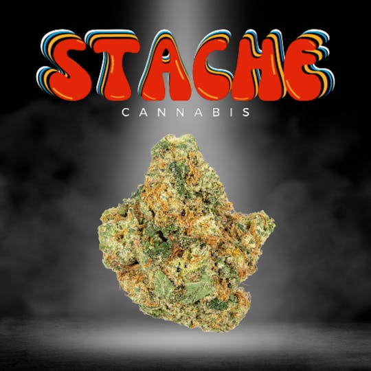 Stache - Thin Mint Sunset - 10g (H) - 1