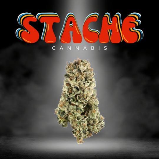 Stache - Mint Kush Cream 10g (H) - 1