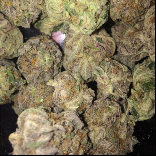 LA Native - Zerealz - INDOOR SMALLS - 1