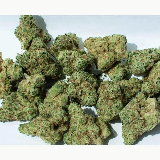 LA Native - Papaya Bomb - INDOOR SMALLS - 1