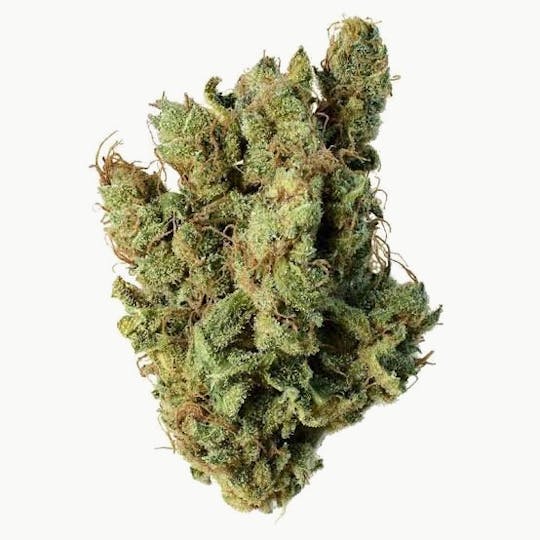 LA Native - Super Silver Haze - Mixed Light - 1