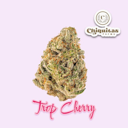 Chiquitas Farms - Trop Cherry - 1