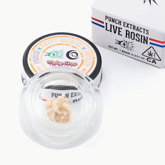 Punch Edibles & Extracts - Orange Juice Tier 4 Live Rosin Cold Cure Badder (1g) - 1